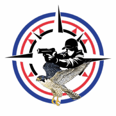 Updated PASE BADGE-02-03